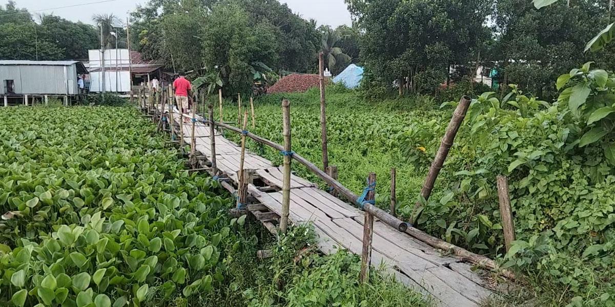 দাউদকান্দিতে ৮ হাজার মানুষের ভরসা কাঠের সেতু
