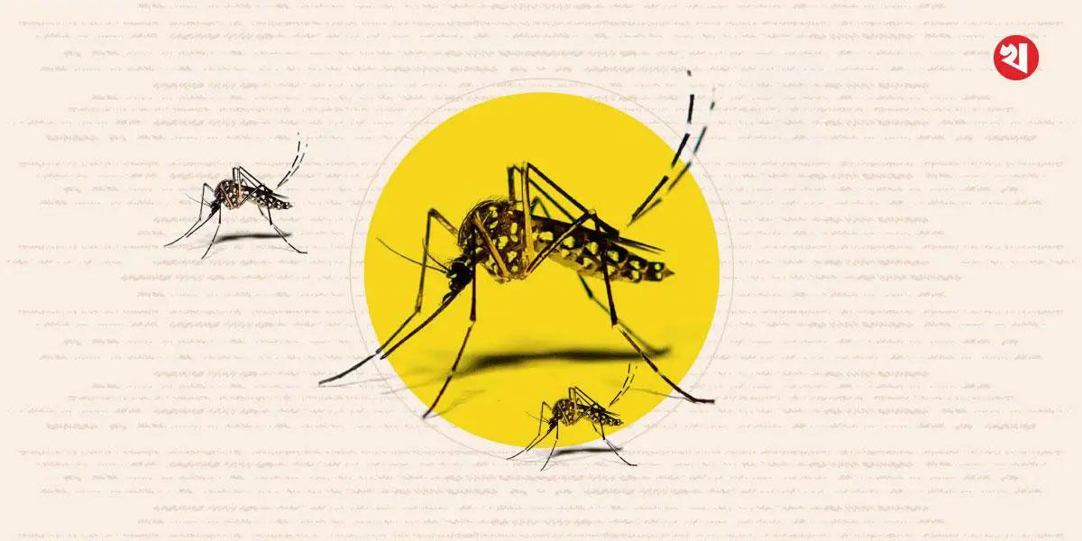 ডেঙ্গুতে আরও ৫ জনের মৃত্যু, হাসপাতালে ভর্তি ১৯২০