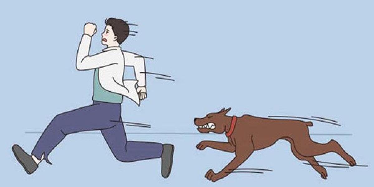 হবিগঞ্জে এক কুকুরের কামড়েই নারী-শিশুসহ আহত ৪৫