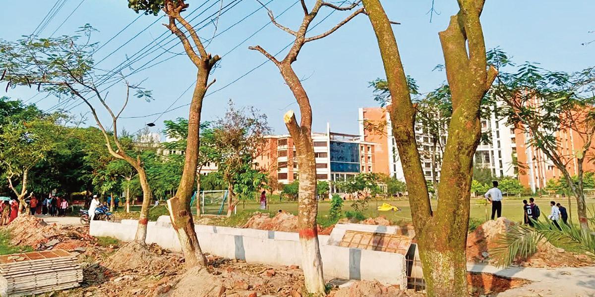 জাককানইবিতে উন্নয়নের নামে বৃক্ষনিধন, শিক্ষার্থীদের ক্ষোভ