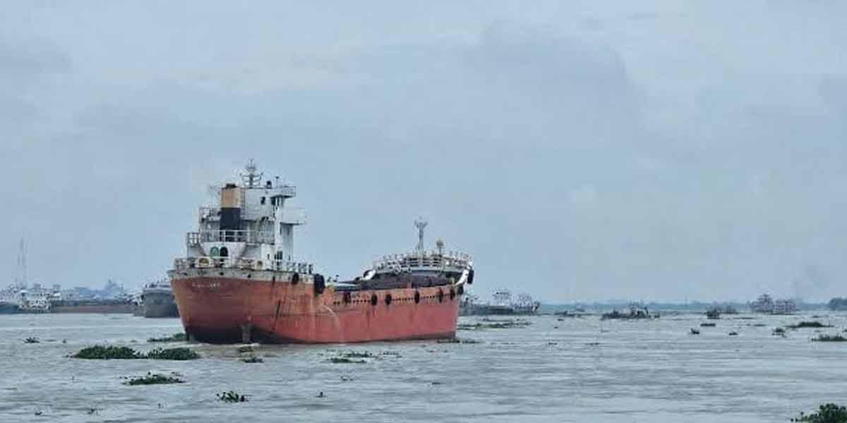 মেঘনায় কার্গো জাহাজের ধাক্কায় ট্রলারডুবি, নিখোঁজ ২ জেলে