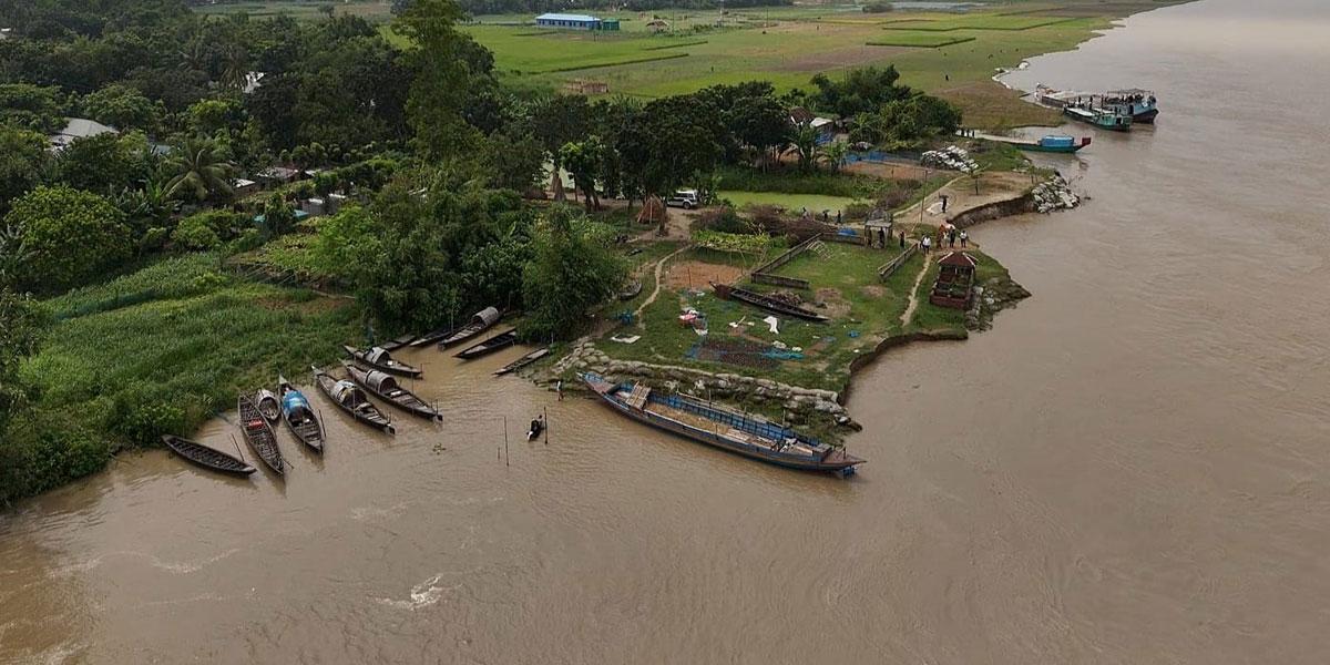 পটুয়াখালীর উপকূলে বাড়ছে সবুজের বিস্তার